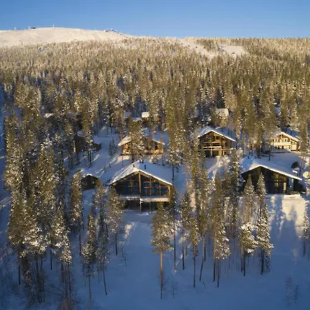 Lux B Ski-in Ski-out By Aavalevi *